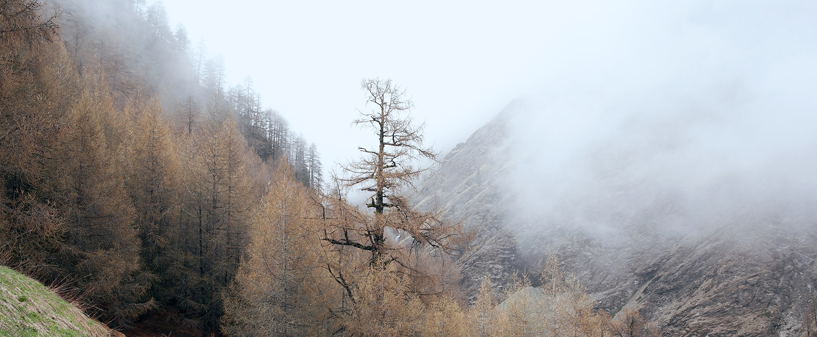 免费电话短信轰炸机